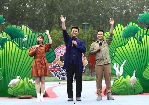 天界最新爆料新闻视频下载,最新爆料新闻视频深度解析